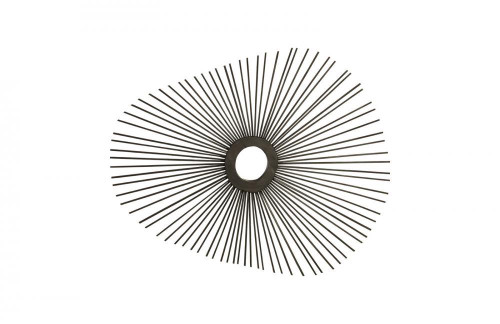 Phillips Collection Spoke Mirror, Ovoid, Black, 46"W (TH75402 YV0J07W5U4) 