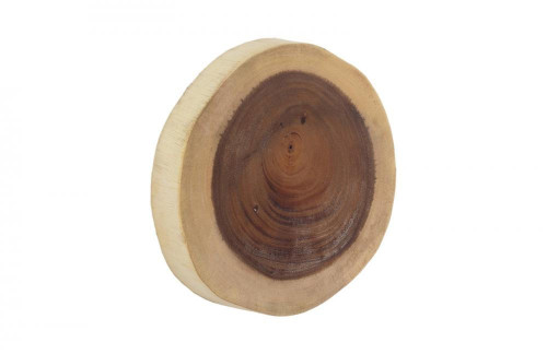 Phillips Collection Chuleta Wall Tile, Large, Chamcha, 20"W (TH54503 YV0J07T545) 