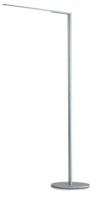 Lady7 Floor Lamp, LED, Silver, 52.25"H (L7-SIL-FLR 407U9PX)