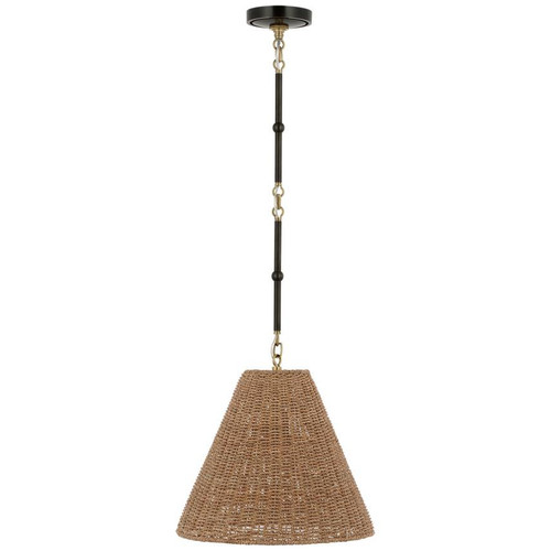 Visual Comfort & Co. Signature Collection Goodman Small Hanging Light, Visual Comfort & Co. Signature Collection TOB 5090BZ/HAB-TST DD9FN 