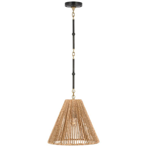 Visual Comfort & Co. Signature Collection Goodman Small Hanging Light, Visual Comfort & Co. Signature Collection TOB 5090BZ/HAB-NAB DDF99 