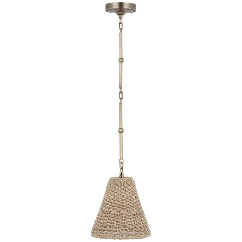 Visual Comfort & Co. Signature Collection Goodman Petite Hanging Shade, Visual Comfort & Co. Signature Collection TOB 5089AN-ASH N1Y74 