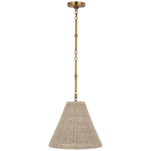Visual Comfort & Co. Signature Collection Goodman Small Hanging Light, Visual Comfort & Co. Signature Collection TOB 5090HAB-ASH DDD9D 