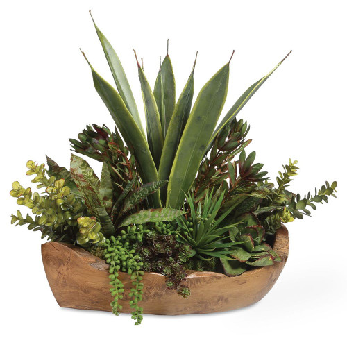 Salar Succulents In Teak Bowl, 20"H, Uttermost (60119 9Q7AL)