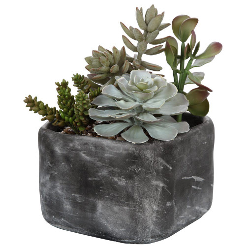 Alverio Desert Garden Succulents, 12"H, Uttermost (60173 A3GXU)