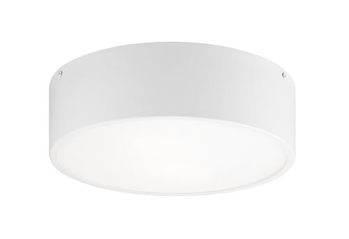 Snare Flush Mount, 2-Light, White, 12"W (M12702WH 305XNYQ)