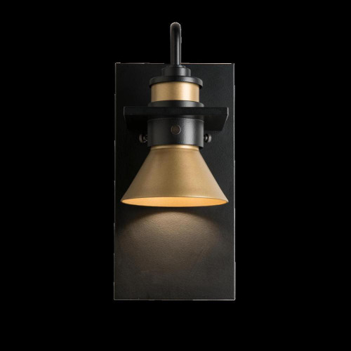 Hubbardton Forge Erlenmeyer Outdoor Wall Sconce, 1-Light, Dark Sky Compliant, Coastal Burnished Steel, Coastal Dark Smoke, 11.5"H (307716-SKT-78-77 5D0MRL) 