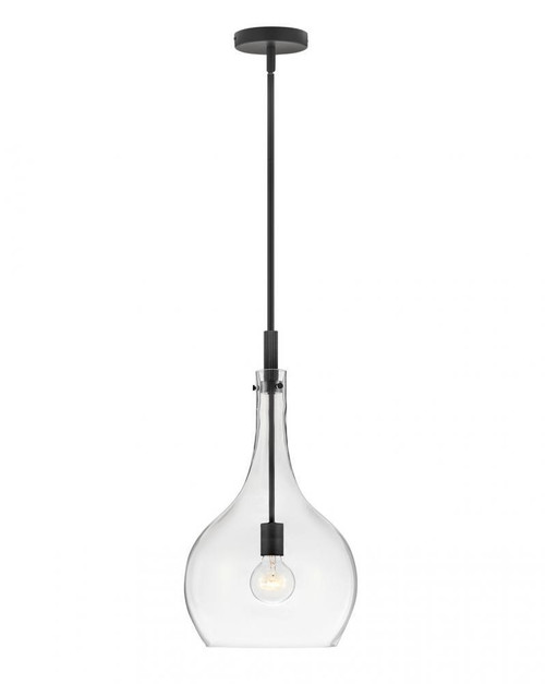 Hinkley Ziggy Globe Pendant Black with Clear Glass 