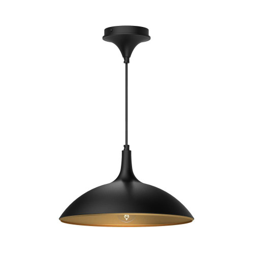 Alora Lighting Abel Pendant, 1-Light, Matte Black, 14.25"D 