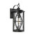 Generation Lighting 1 - Light Outdoor Wall Lantern, Generation Lighting - Feiss OL15202ANBZ AC4CL 