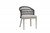 Ratana Coconut Grove Dining Arm Chair, Taupe, Pearl Frame, Lithium Pearl Durastrap, 22"W (FN60112LPR-FO5116 YUU9004483) 