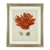 Eichholtz Antique Red Corals Wall Art, Set of 6, Antique Silver Frame, 22.64"W (111741 YV0J041TRD) 