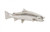 Phillips Collection Fish Wall Sculpture, Rainbow Trout, Silver Leaf, 20"W (PH76838 YV0J07W3VL) 