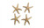 Phillips Collection Starfish Wall Sculpture, Small, Set of 4, Gold Leaf, 10"W (PH67527 YV0J07W6Q0) 