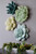 Phillips Collection Topsy Turvy Succulent Wall Tile, Light Jade, 11"W (PH104153 YV0J07W6TD) 