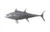 Phillips Collection Fish Wall Sculpture, Bluefin Tuna, Polished Aluminum, 45"W (PH64548 YV0J07T35M) 