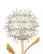 Currey and Company Dandelion Silver & Gold Wall Sconce 
