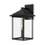 Alora Lighting Larchmont Outdoor Wall Sconce, 1-Light, Textured Black, Clear Glass, 12.5"H (EW552007BKCL 706TVH8) 