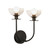 Alora Lighting Sylvia 12-in Matte Black/Clear Glass 2 Lights Wall Vanity 