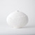 Global Views Asymmetrical Stipple Small Matte White Vase 