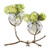 Global Views Twig 2 Brass Vase Holder 