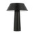 Visual Comfort & Co. Modern Collection Sesa Accent Rechargeable Table Lamp 