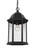One Light Outdoor Pendant, Generation Lighting - Seagull 6238701-12 9VL8M