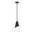 Crystorama Brian Patrick Flynn Tori 1 Light Matte Black Pendant, Crystorama TOR-901-MK 2NYCW 
