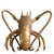 Eichholtz Object Lobster, Eichholtz 118243 YV0J044WE1 
