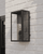 Currey and Company Royster Black Outdoor Wall Sconce 