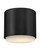 Hinkley Cedric Extra Small Flush Mount Black 