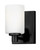 Hinkley Karlie Small Single Light Sconce Black 