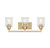 Hampton 3-Light Bath Vanity Savoy House 8-1972-3-322
