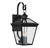 Ellijay Outdoor Wall Lantern, 4-Light, Black, Glass Shade, 25.5"H, Savoy House (5-142-BK 1MV35)