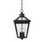 Ellijay Outdoor Hanging Lantern, 4-Light, Black, Glass Shade, 20.75"H, Savoy House (5-145-BK 1MV37)