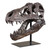 Tyrannosaurus Sculpture, Chestnut Brown, Matte Black, 20"H, Uttermost (19948 9M7MA)