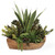 Salar Succulents In Teak Bowl, 20"H, Uttermost (60119 9Q7AL)