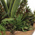 Salar Succulents In Teak Bowl, 20"H, Uttermost (60119 9Q7AL)