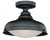 Keenan Semi-Flush Mount, 1-Light, Oil Rubbed Bronze, 12.25"W (C0113 F61H)