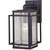 Hyde Park Outdoor Wall Lantern, 1-Light, Espresso Bronze, 14"H (T0467 J4U3)