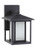 Small LED Outdoor Wall Lantern, Generation Lighting - Seagull 8902997S-12 A1QLR