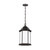 1-Light Outdoor Pendant, Generation Lighting - Seagull 6238751-71 A4X55