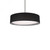 Dalton Pendant, LED, Black, White Acrylic Diffuser, 16"W (PD7916-BK 42HP1)