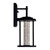 Greenwood Outdoor Wall Lantern, LED, Black, 13.9"H (0407W7-1-101 3069NAT)