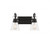 Savoy House Lakewood Bathroom Vanity Light, 2-Light, Matte Black, Glass Shade, 16"W (8-1830-2-BK ALPTX) 