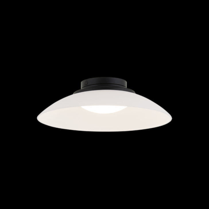 Luna Flush Mount, 1-Light, LED, Matte Black, Frosted Glass Shade, 13.88"W (M16411MBFR 3060MPQ)