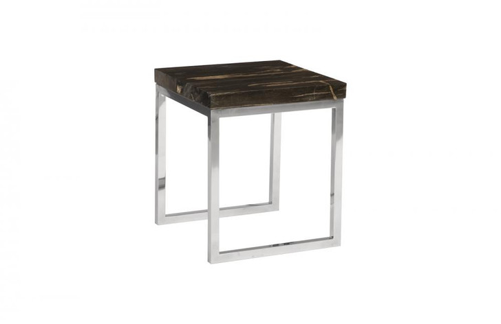 Petrified Wood Side Table, Black Wood Top, Stainless Steel Frame, 23"H (ID93095 YV0J07W3UG)