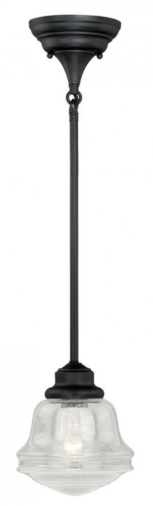 Huntley Mini Pendant, 1-Light, Oil Rubbed Bronze, Clear Seeded Glass Shade, 6.25"W (P0153 F35Y)