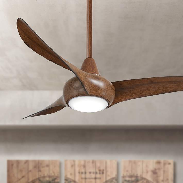 Top Ceiling Fan Trends