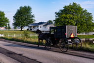 Who Are the Amish? Faith, History, Family and Everyday Life